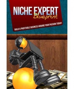 Niche Expert Blueprint MRR Video Series