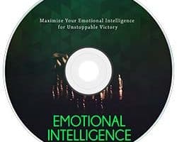 Emotional Intelligence MRR