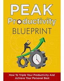 Peak Productivity MRR