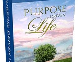 Purpose Driven Life MRR