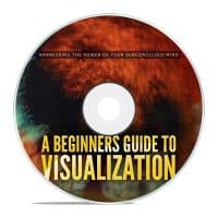 A Beginners Guide To Visualization MRR